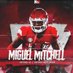 Miguel “M&M” Mitchell ✞ (@MMitchell_10) Twitter profile photo