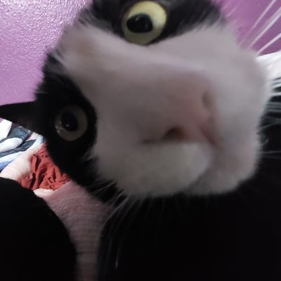 Linさんのプロフィール画像