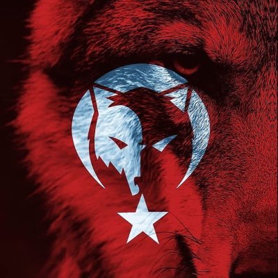 tnakresonline's profile picture. Türk 🇹🇷🇦🇿🔴