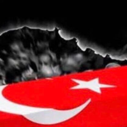 Asiruh95156276's profile picture. 