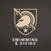 Army Swimming & Diving (@ArmyWP_SwimDive) Twitter profile photo