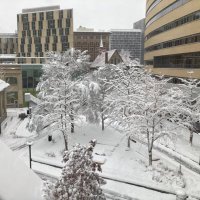 Perreault Laboratory (@perreault_uqam) 's Twitter Profile Photo Perreault Laboratory (@perreault_uqam) 's Twitter Profile Photo