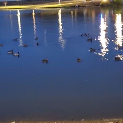 sobless07's profile picture. 