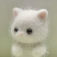 rui ! (@0nm19ghts) 's Twitter Profile Photo