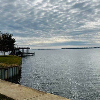 vinodg81's profile picture. 