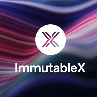 slightsystems's profile picture. Web3 Developer @immutable