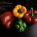 Felipe Robledo c - @RobledofelipeC - Twitter