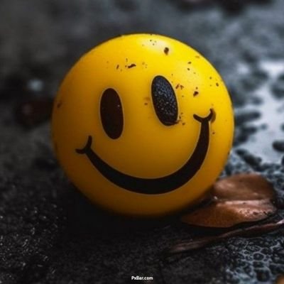 JorgeRieken's profile picture. Divertirme