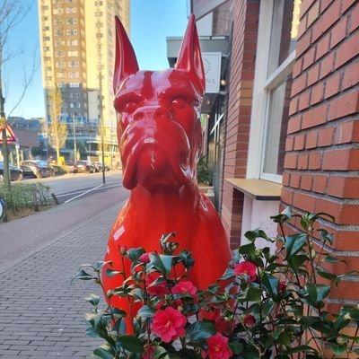 LilaNikola68147's profile picture. The challenge is not just to build a company that can endure; but to build one that is worthy of enduring.