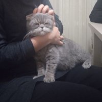 fatmazehra (@brkiesra) Twitter profile photo