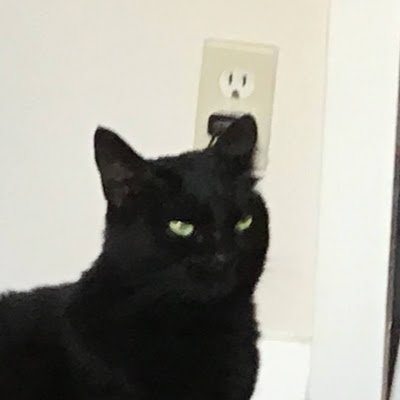 McglynnSti21329's profile picture. 