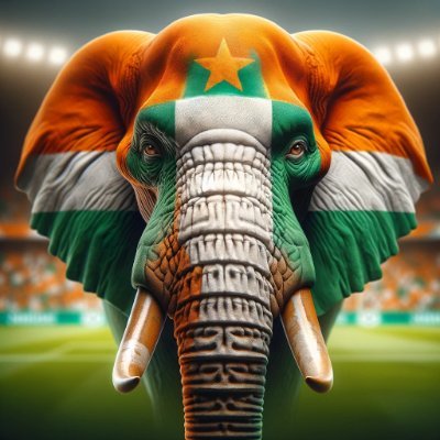 🐘 Welcome to the exclusive world of 454 Elephant NFTs. Each unique piece celebrates the spirit of CAN 2024 ⚽. Join our herd and enjoy rewards every matchday 💸