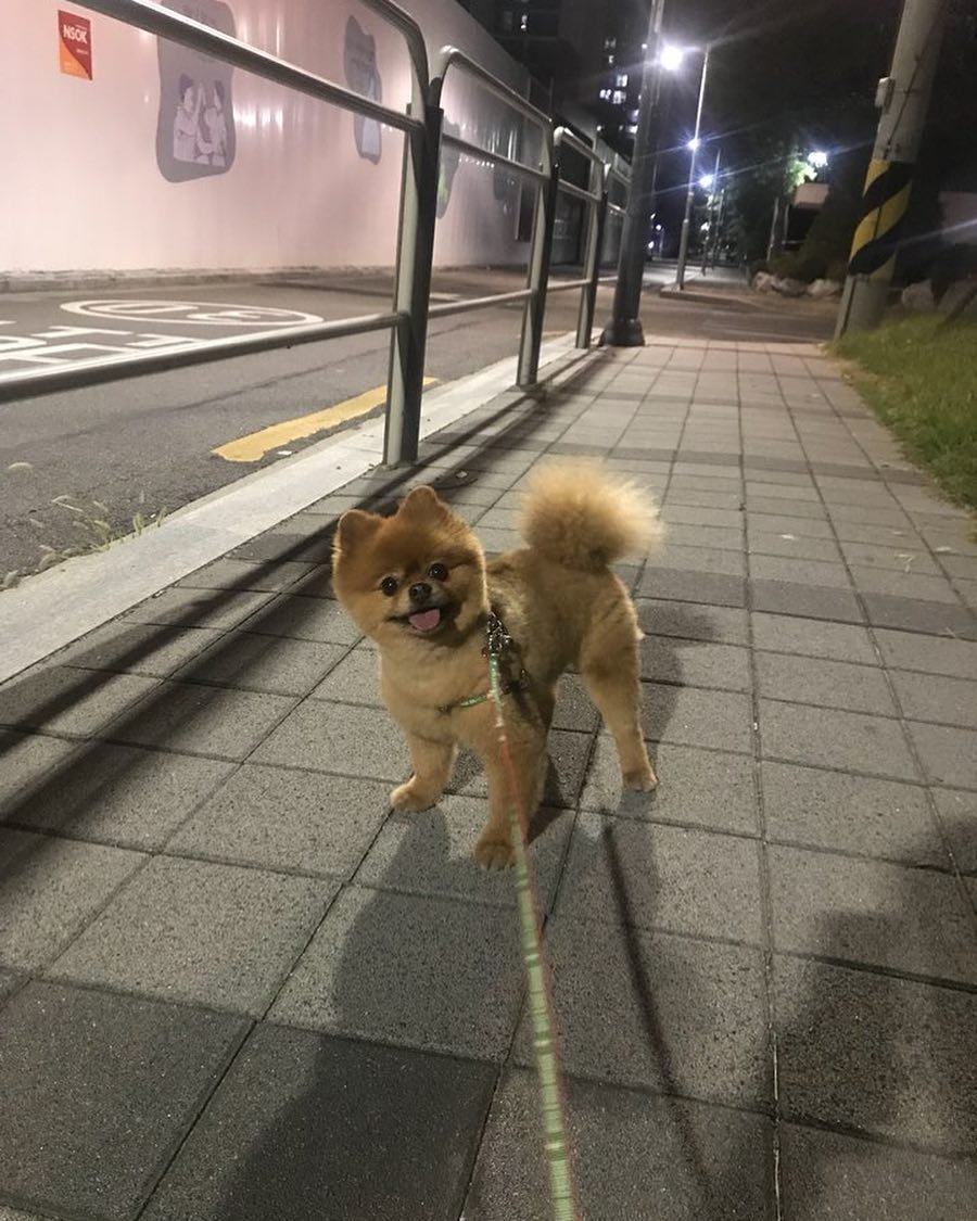 自分の太陽をして、山や川や湖や海を仲間にして、生活を愛して、自信があって勇敢で、善良さを維持して、まっすぐに進みます!