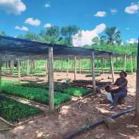 Tontho Uganja🇲🇼 (@nothauga) 's Twitter Profile Photo