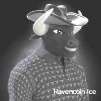 iceravenconni3's profile picture. Just picked up some rare nfts at the token sale. thought i’d share!