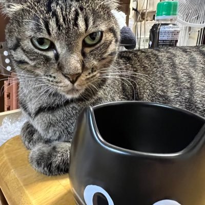 masa998855's profile picture. 3回目終了💉