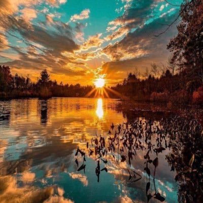 CarlaFx3's profile picture. 🌈