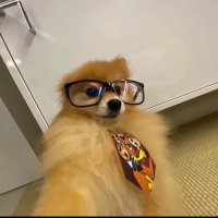 goldhawk (@goldhxwk) 's Twitter Profile Photo goldhawk (@goldhxwk) 's Twitter Profile Photo