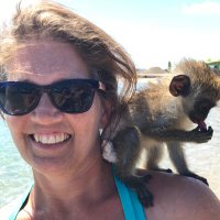🌹📚Marie Wikle🩵☕️🦄 (@spreadingjoy) 's Twitter Profile