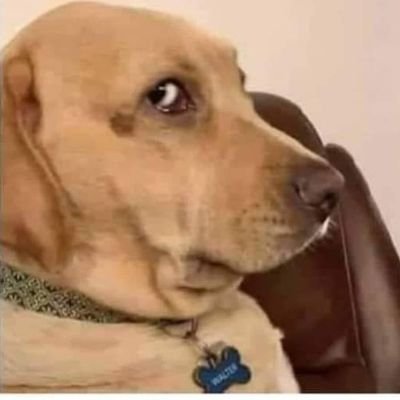 AlejXL's profile picture. Yo soy quien soy y no me parezco a naiden; a veces quisiera ser  tortugo para correr, chaparro para crecer, valiente pa' no pelear y fiel como la mujer...