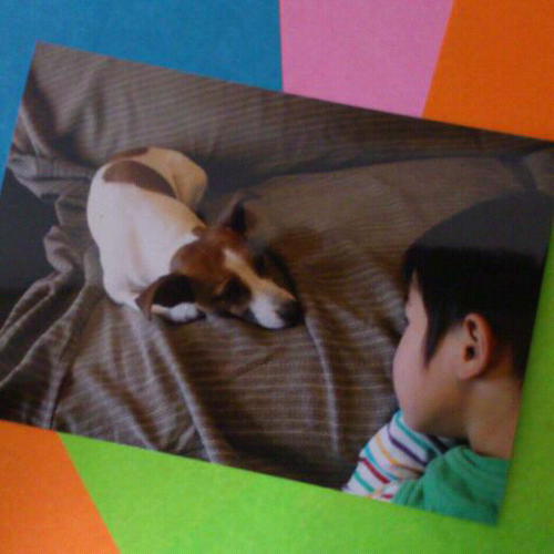 Instagramで空ばっか撮ってます。たまに変なのも… この度iPhoneへとお引っ越し。名言なども自分自身に言い聞かせる為に呟きます。 たまに絡んだりしますので、 御注意を…   ♪(=´▽｀)ゞ