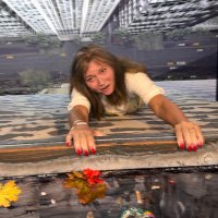 💙🐳crystal4whales🐳💙 (@crystal4whales) 's Twitter Profile
