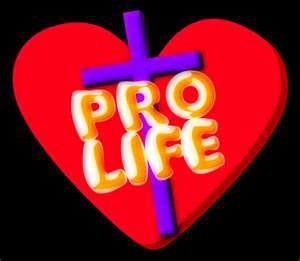 Pro_Life_Minn tells 2015 U.S. Congress to immediately pass into law the Pain-Capable Unborn Child Protection Act & and continues to work to support Adoportion!
