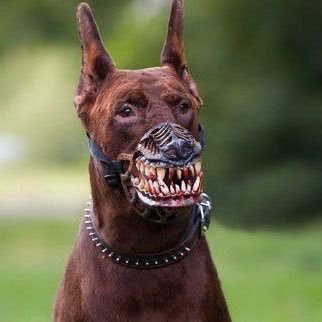 battleaxeblood's profile picture. 