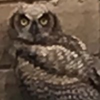 Isabel Schmitt (@isabel_sch40908) 's Twitter Profile