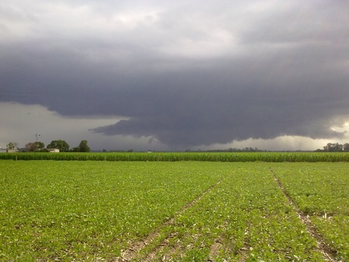 lluviasarg's profile picture. Un espacio para que productores agropecuarios de distintas zonas de nuestro país podamos compartir información de acerca de las lluvias caídas.