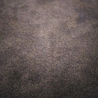 sandiharman69's profile picture. Just a real show off