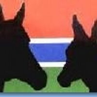 Gambia Horse&Donkey (@gambiahdt) 's Twitter Profile Photo Gambia Horse&Donkey (@gambiahdt) 's Twitter Profile Photo