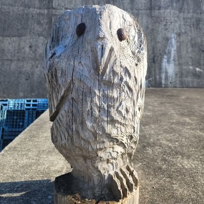 千葉県成田市でシンママしてます🏠
3人の子供(成人済)
好き 美容系、釣り、オカルト、F1💄🎣👻🏎
2022.7月~釣り初めました 川、海🔰
釣り枠でInstagram、ANGLERSやってます
勧誘、工□系等気付き次第ブロックします
フォロ-外されたのが気付いた時此方も外させていただきます🙇♀️