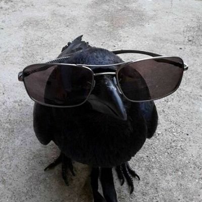 lonely_house_'s profile picture. The point is there ain't no point.