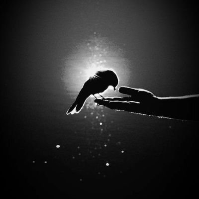 Aady2414's profile picture. 