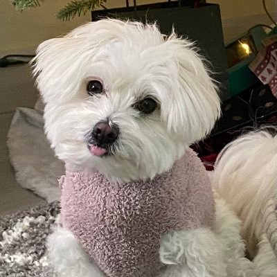 sassyshell26's profile picture. Bay Area sports fan * concerts * Sephora * Nordstrom * travel * pop culture* DCL