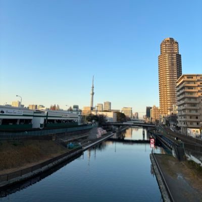 sgmnana77's profile picture. 永遠の3歳、SCREAMING FOR VENGEANCE.