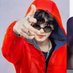 James (@james051838975) Twitter profile photo James (@james051838975) Twitter profile photo
