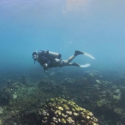 sebasrios's profile picture. 