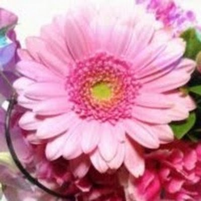 MotuwiNo's profile picture. 