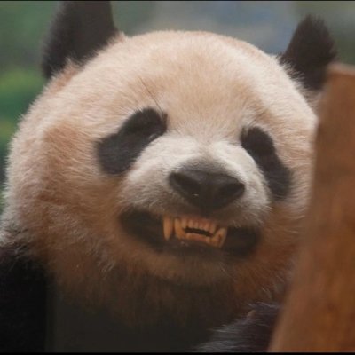 ZGVtMG5z's profile picture. 喵
