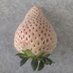樋口園芸【いちご・生産・直売・全国発送】 (@higuchi_engei) Twitter profile photo 樋口園芸【いちご・生産・直売・全国発送】 (@higuchi_engei) Twitter profile photo