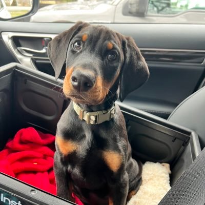 BHill12171's profile picture. 