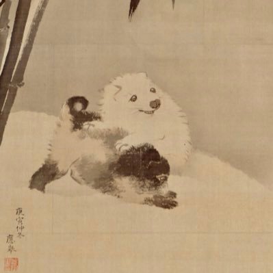 ginginginga3's profile picture. 