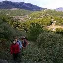 Cruz Roque - @cruzcornest - Twitter