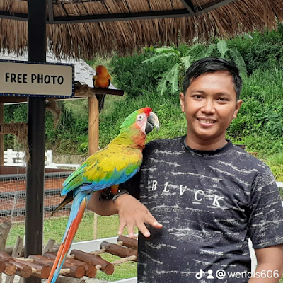 WCompec73632's profile picture. 