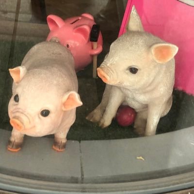 Ha_ra_Ma_rupyon's profile picture. 