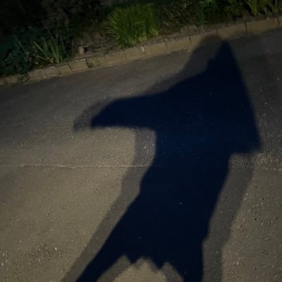 nanashi_chan15's profile picture. h15、ダンス初心者🔰