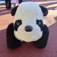 パンダバン（やつれた姿） (@panda1e1) 's Twitter Profile