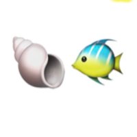 shellfisch 🌻🇦🇺💚❤️(@shellfisch1) 's Twitter Profile Photo